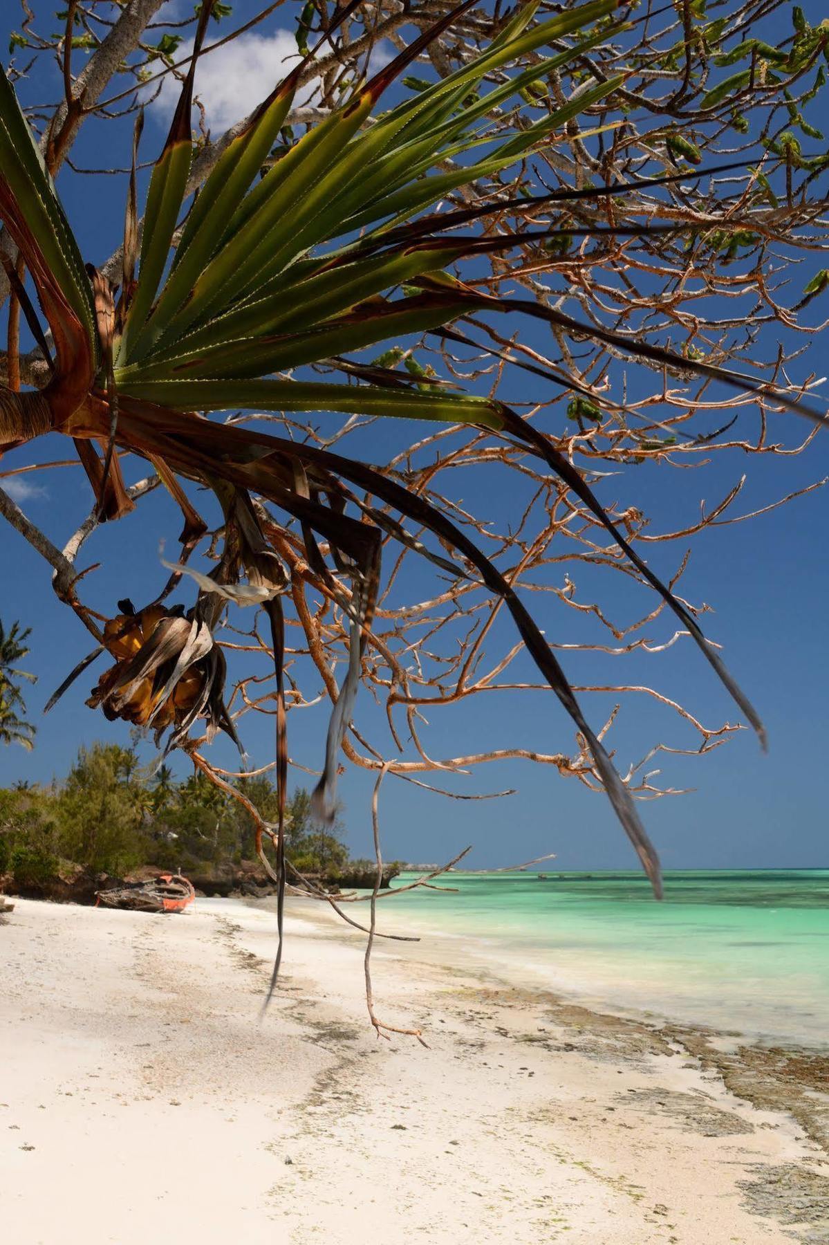 Unguja Lodge Zanzibar Екстериор снимка